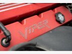 Thumbnail Photo 5 for 1995 Dodge Viper RT/10 Roadster